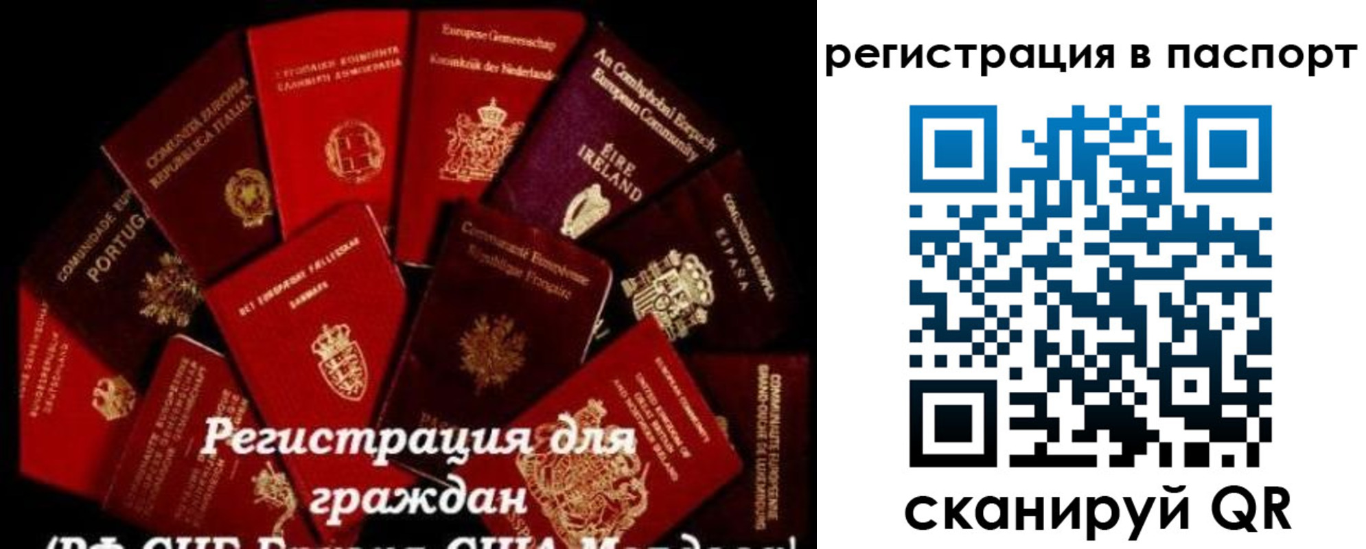 миграционный учет в Сунже